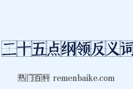 二十五点纲领反义词是什么意思的图片